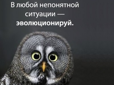 эволюционируй-400x300.jpg