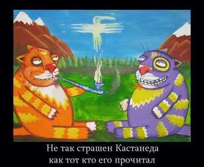 nTxyVSrtabE.jpg