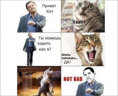 rtVrss6lHTY.jpg